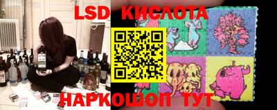 гашик Краснодар