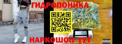 гашик Краснодар