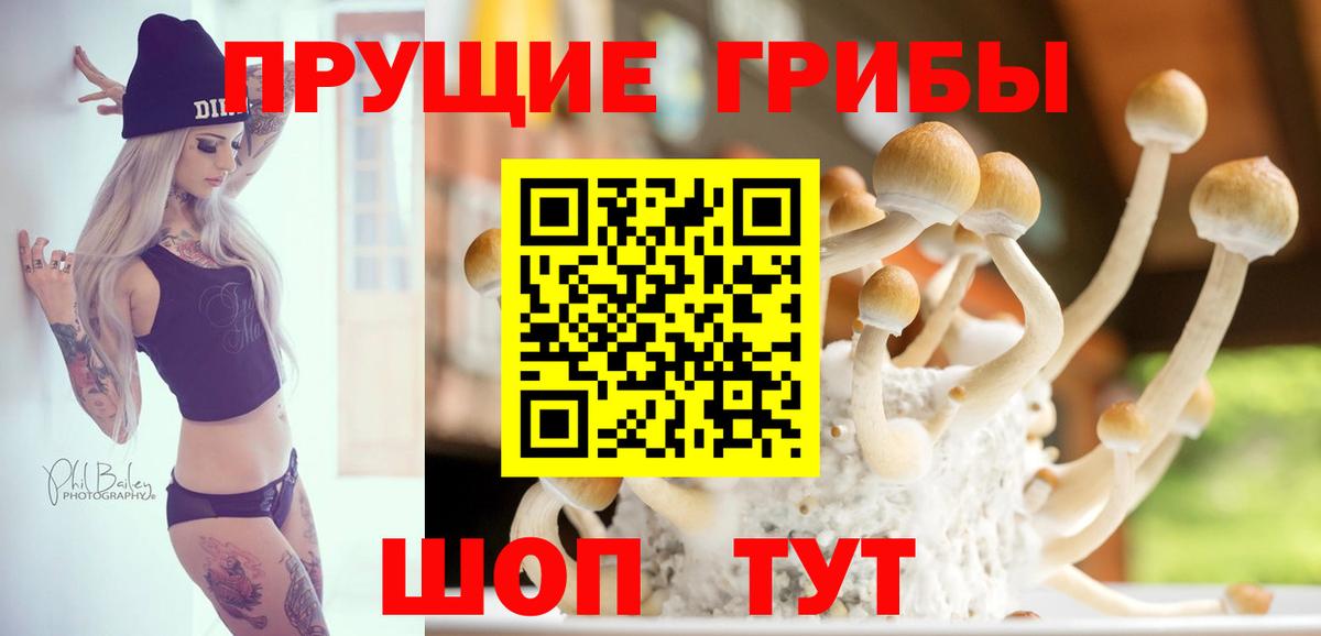 Калач-на-Дону  Галлюциногенные грибы мицелий  Вход с VPN 