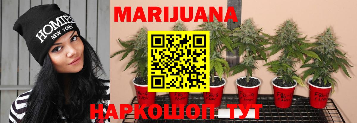 Калач-на-Дону  Бошки Шишки семена  МАРИХУАНА тримм  Вход с VPN 